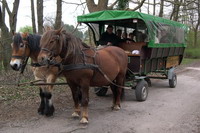 Kutschenfahrt durch Worpswede mit Fr. Broka