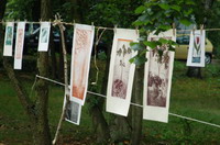 Kunst an der W�scheleine beim Open-Air-Galerien-Fest