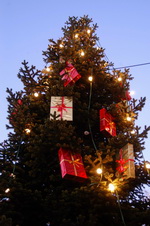 Weihnachtsbaum auf dem Weihnachtsmarkt in Stade