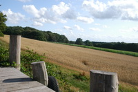 Blick vom Steg auf den Weyerberg
