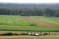Blick vom Steg auf den Weyerberg