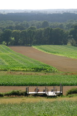 Blick auf den Steg auf dem Weyerberg