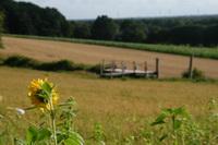 Blick vom Susenbarg auf den Steg am Weyerberg