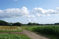 Susenbarg auf dem Weyerberg