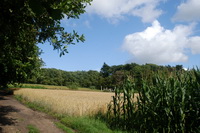 Susenbarg auf dem Weyerberg