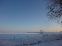 Fotoarbeiten (Pferdeweiden im Winter) - Atelierwerkstatt Mareiles Art