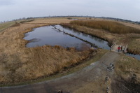 Rundumblick in die Hammeniederung vom Aussichtsturm in den Linteler Weiden aus 11 Metern H�he
