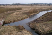Rundumblick in die Hammeniederung vom Aussichtsturm in den Linteler Weiden aus 11 Metern H�he
