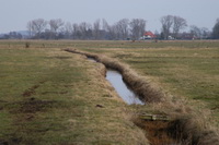 Auf dem Weg zum Aussichtsturm in den Linteler Weiden hat man einen sch�nen Blick in die Hammeniederung und auf "Tietjens H�tte"