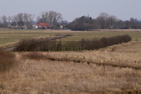Auf dem Weg zum Aussichtsturm in den Linteler Weiden hat man einen sch�nen Blick in die Hammeniederung und auf "Tietjens H�tte"