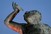 Bacchus-Brunnen bei Nacht