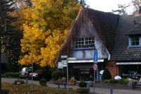 Das Blaue Haus