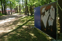 3 Pit Morell, geb. 1939, G�nse, 1981, Gro�e Kunstschau Worpswede - en plein air - Worpsweder Kunst unter freiem Himmel - hier vor der Gro�en Kunstschau