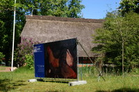 21 Paula Modersohn-Becker (1876-1907), H�hner, 1903, Gro�e Kunstschau Worpswede - en plein air - Worpsweder Kunst unter freiem Himmel - hier vor dem Rathaus