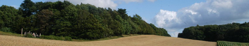 Der Weyerberg im Panorama-Format