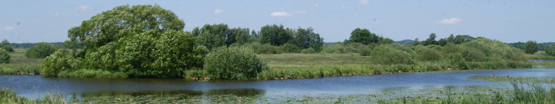 Breites Wasser im Panorama-Format