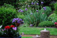 Gartendetail der Ferienwohnung B�schen