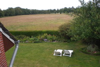 Blick von der Ferienwohnung Papenfuss ins Gr�ne