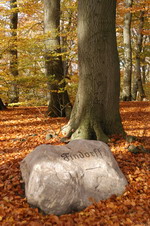 Hinweisstein zum Findorff-Denkmal auf dem Weyerberg im Herbst