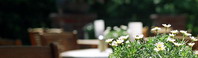 Worpsweder Tor GmbH & Co. KG (4-Sterne-Hotel) (Gesch�ftsf�hrerin: Judith Balczun), Findorffstr. 3, Tel.: 04792/98930, Fax.: 04792/989079, Mail: info@worpsweder-tor.de, Homepage: www.worpsweder-tor.de oder www.hotel-worpsweder-tor.de