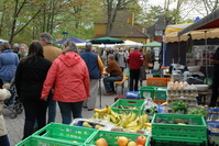 Maimarkt