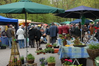 Maimarkt