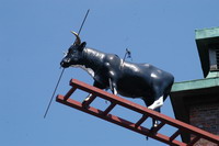 Bulle am Schlauchturm der ehemaligen Feuerwehr am Marktplatz in der Kreisstadt Osterholz-Scharmbeck