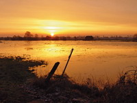 Sonnenaufgang an der Hamme - Foto von Karin Schiestl