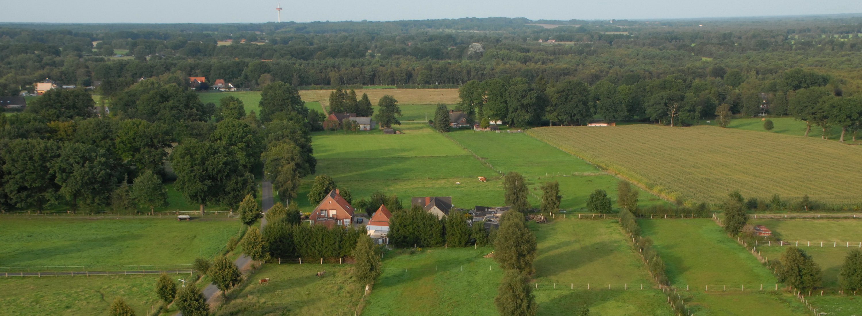 slide 40