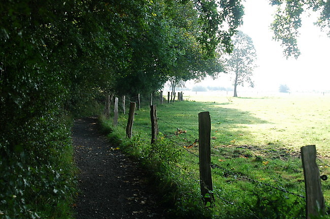 Slide 8