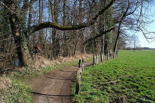 Slide 9