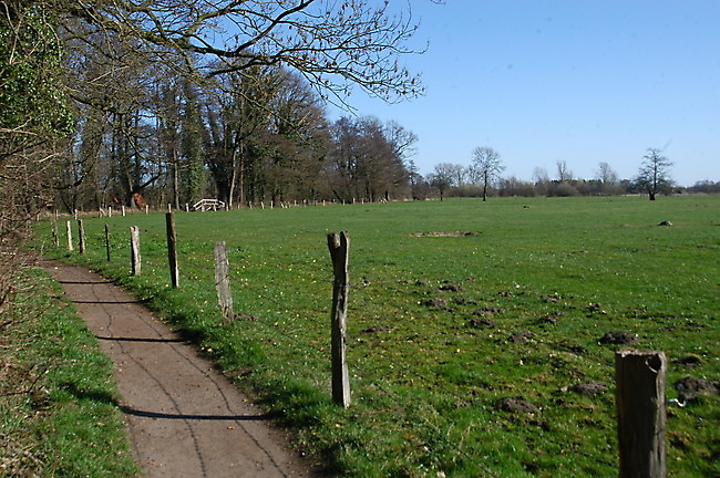 Slide 8