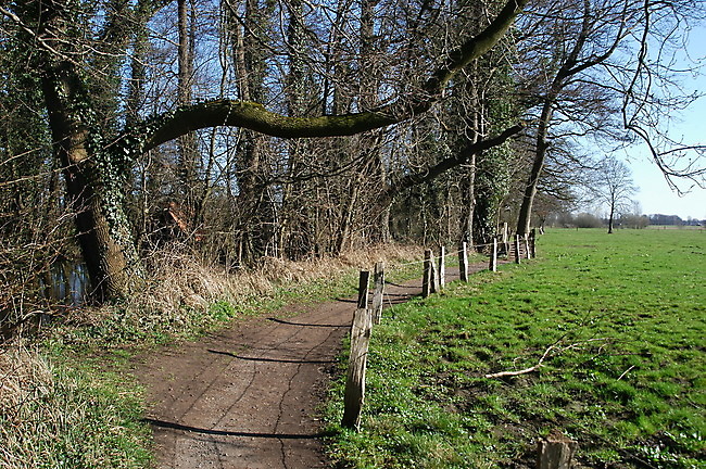 Slide 9