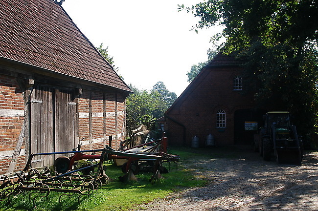 Slide 8