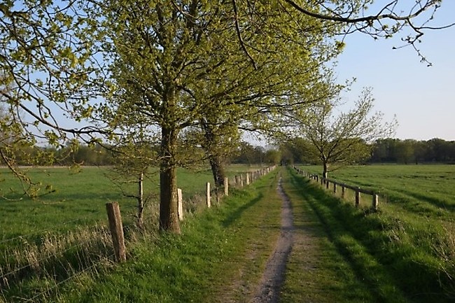 Slide 24