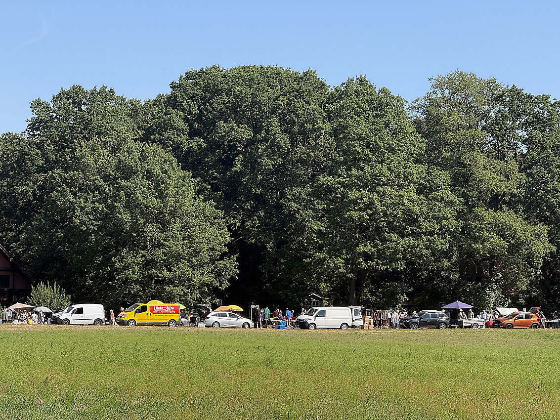Woodstock - Wald- und Wiesenflohmarkt – Bild 10