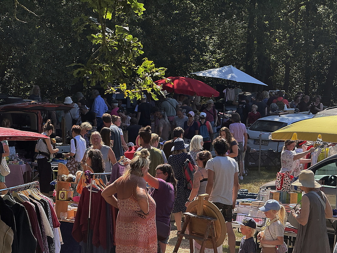 Woodstock - Wald- und Wiesenflohmarkt – Bild 4