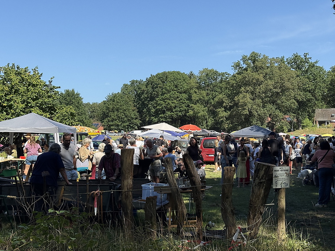 Woodstock - Wald- und Wiesenflohmarkt – Bild 5