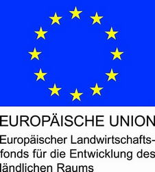 EU-Logo