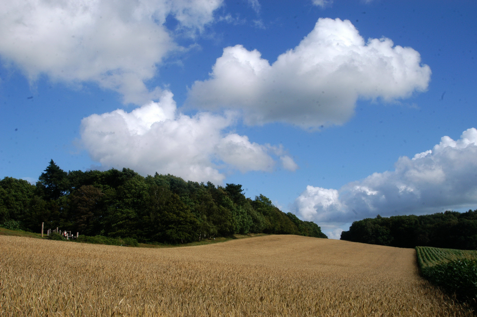 Worpswede (Künstlerkolonie)