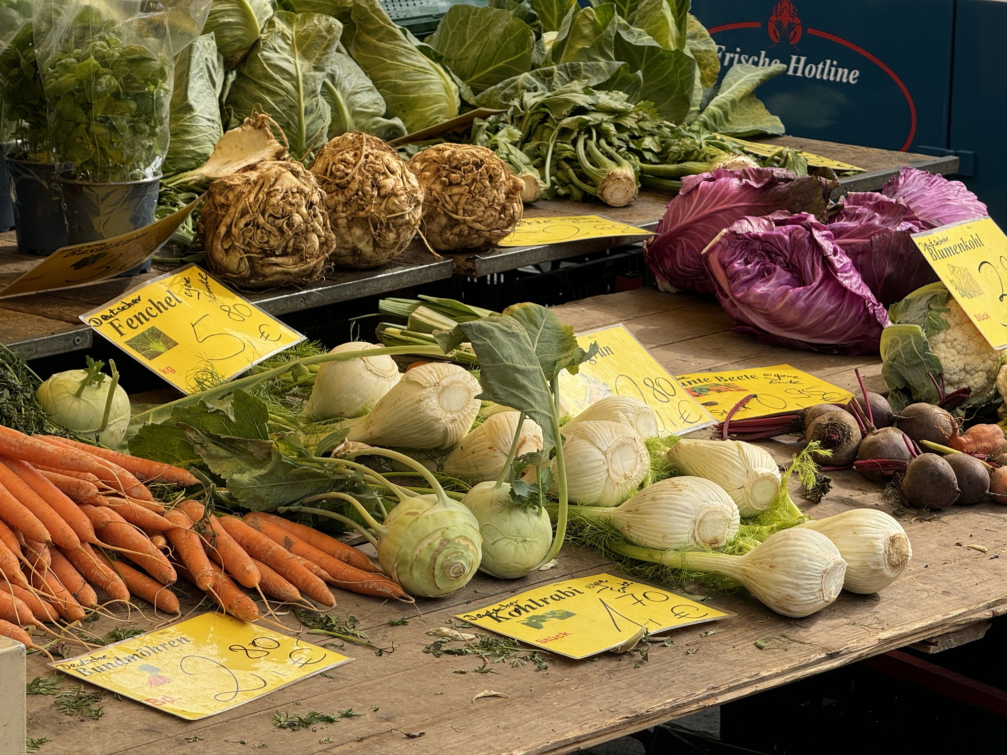 Bild zu Ausflugstipp: Bremen - Wochenmarkt Borgfeld