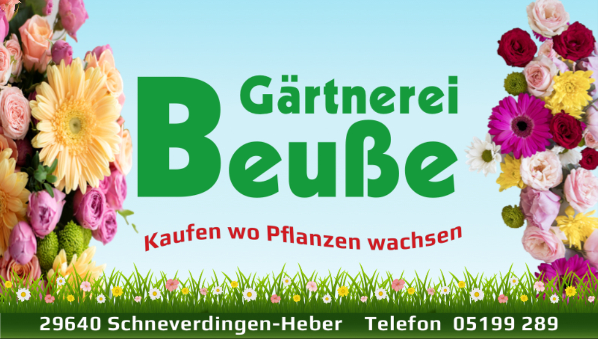 Bild zu Osterholz-Scharmbeck - Gärtnerei Beuße auf dem Wochenmarkt in Osterholz-Scharmbeck