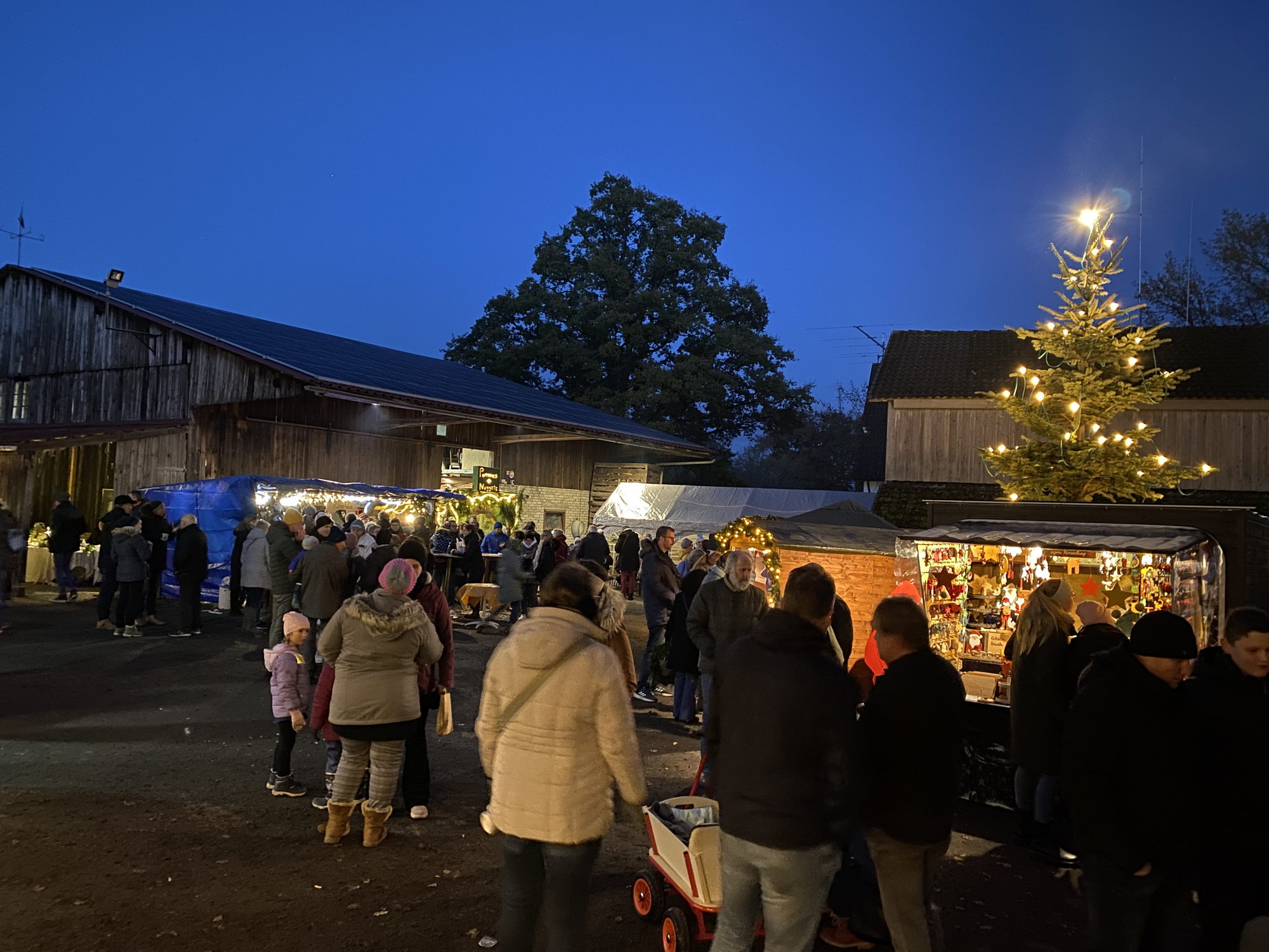 Bild zu Ausflugstipp: Buchholz - Adventstied