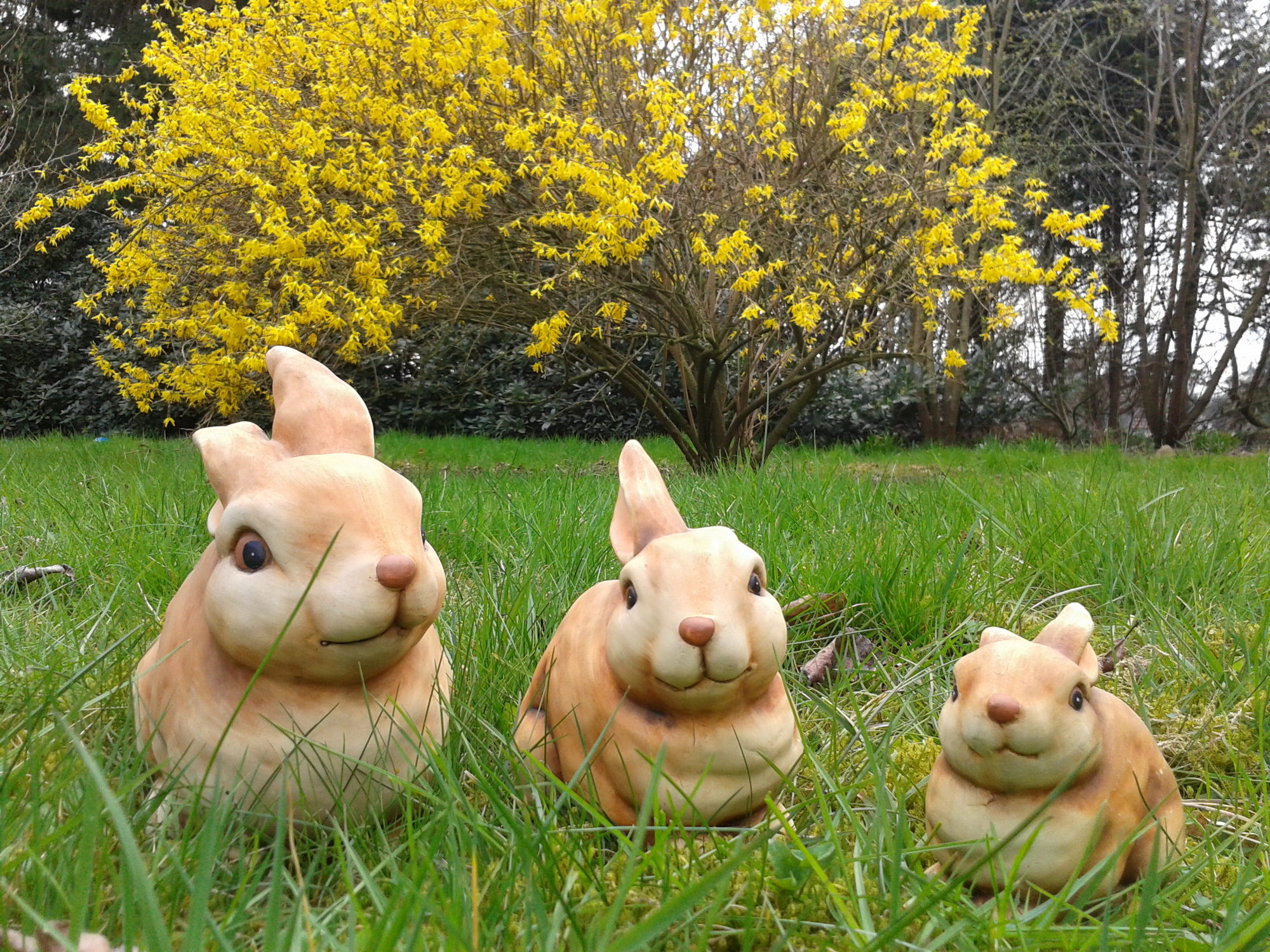 Bild zu Landkreis Osterholz - Frohe Ostern