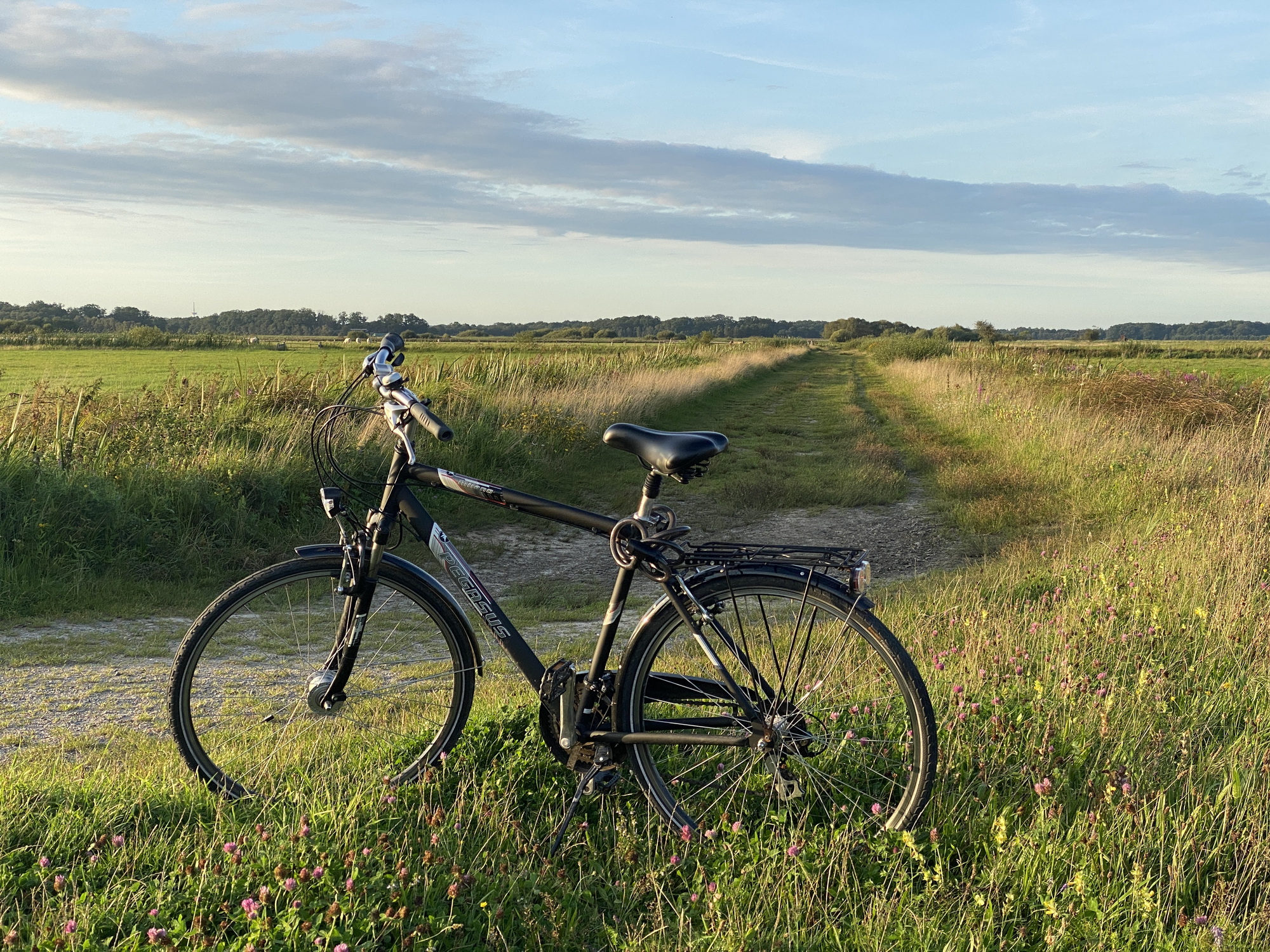 Bild zu Tipp: Wie wäre es denn heute mit einem Fahrrad-Ausflug?