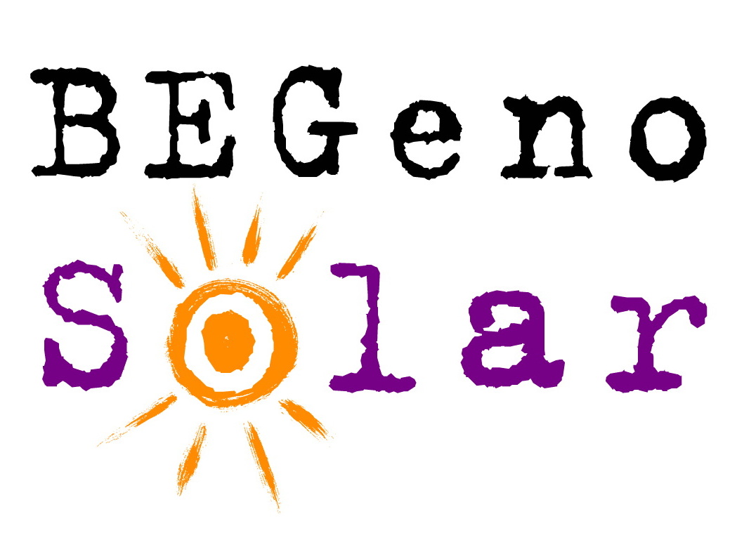 Bild zu BEGeno Solar GmbH - Wir bauen Ihre Photovoltaikanlage