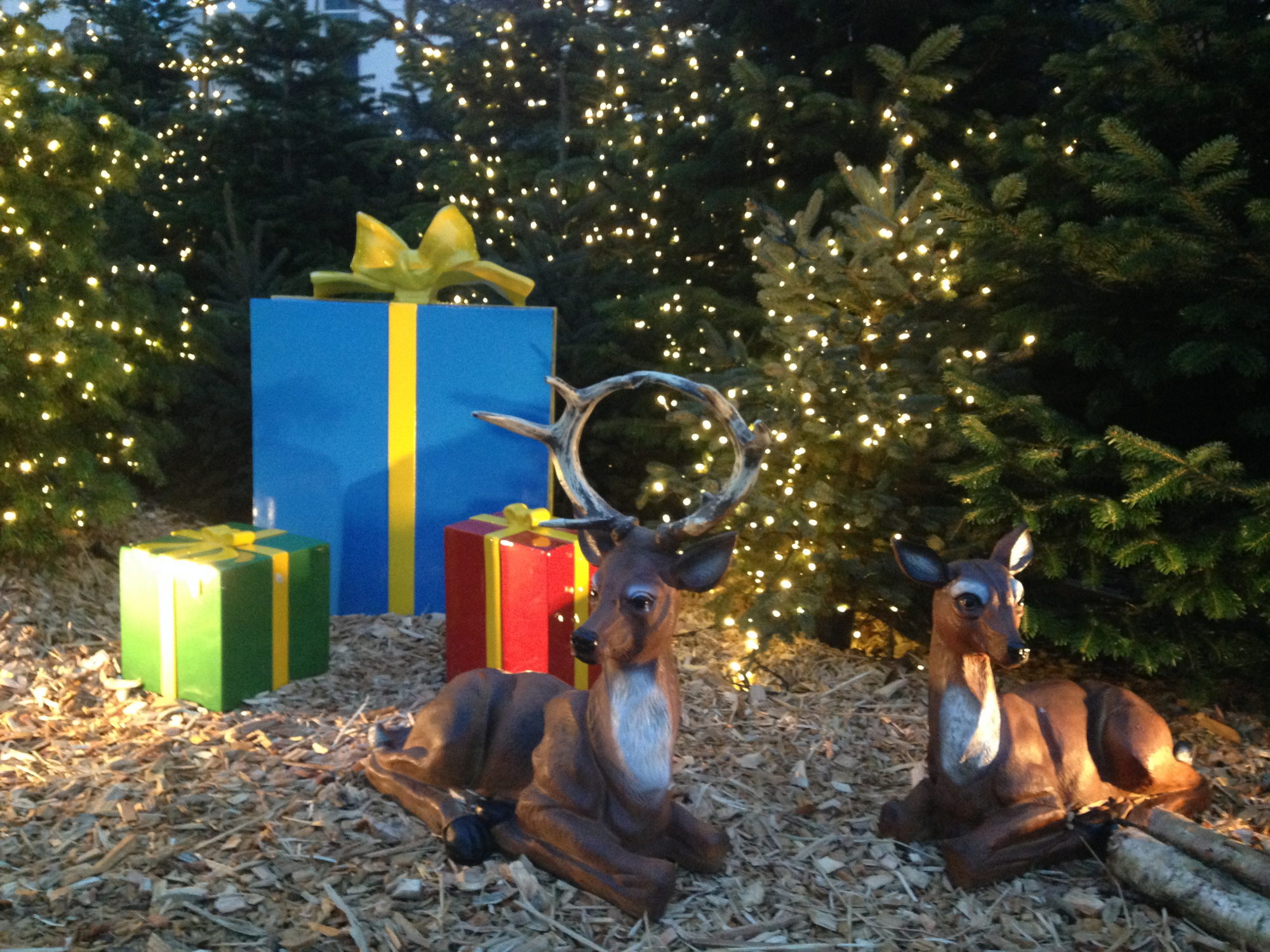 Bild zu Ausflugstipp: Hamburg - Weihnachtsmarkt am Tibarg in Hamburg - Niendorf