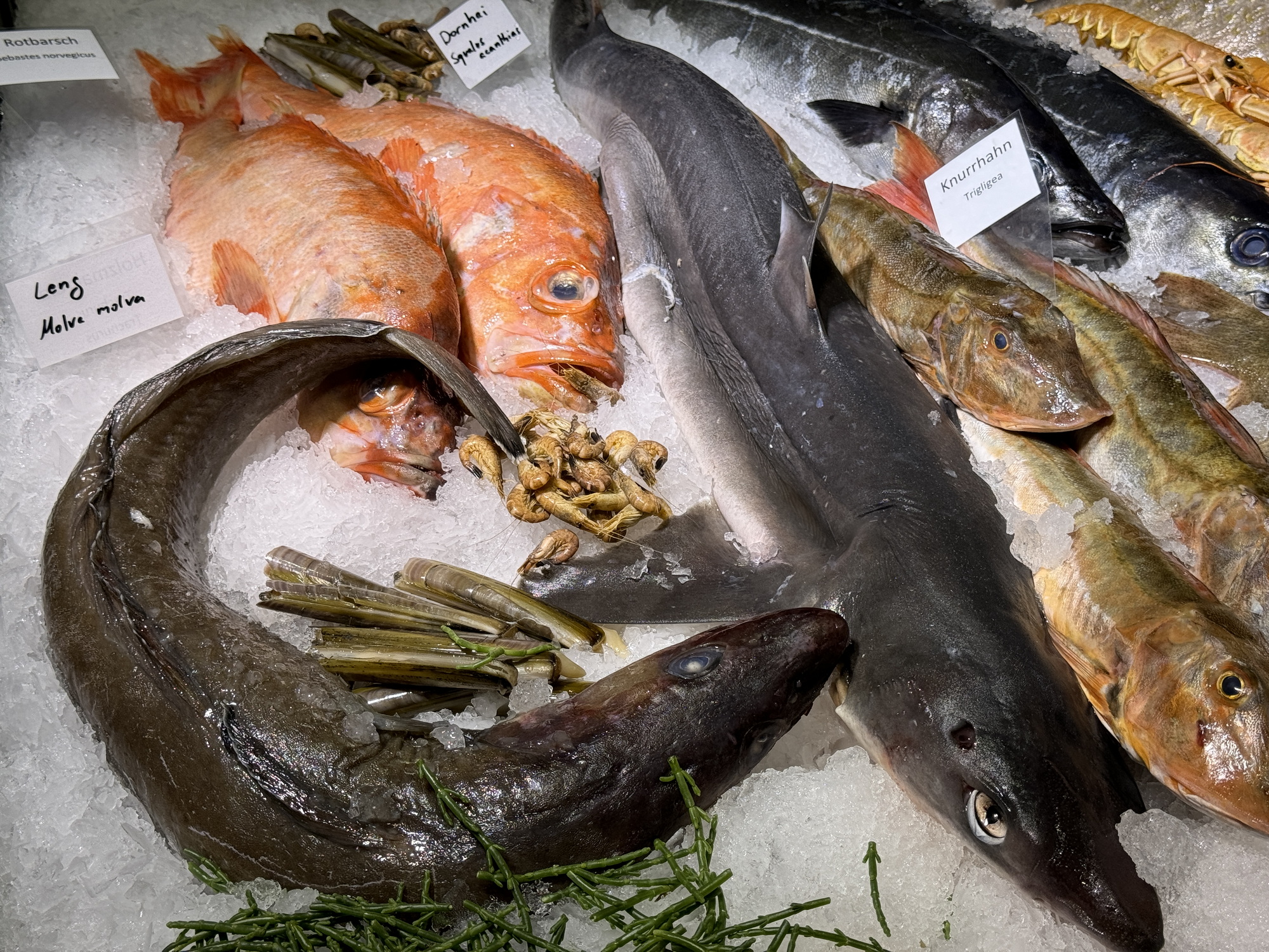 Bild zu Ausflugstipp: Hamburg - Fischmarkt in Altona