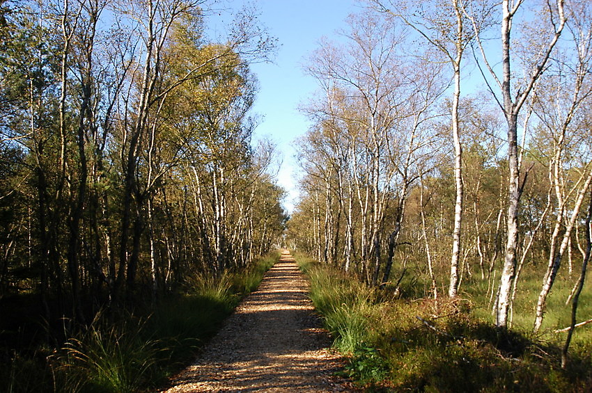 slide 8