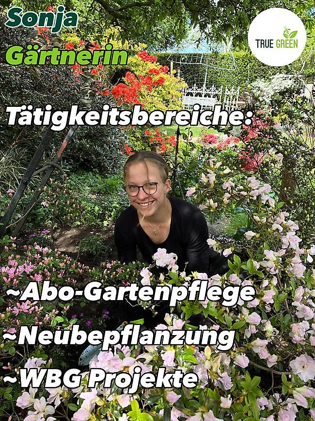 Slide 23